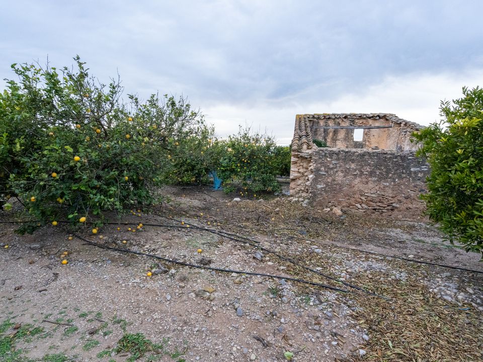 Finca i Tortosa, Tarragona - bilde 3