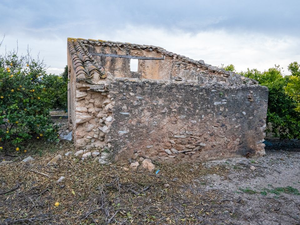 Finca i Tortosa, Tarragona - bilde 4