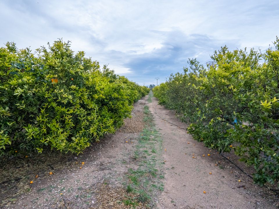 Finca i Tortosa, Tarragona - bilde 1