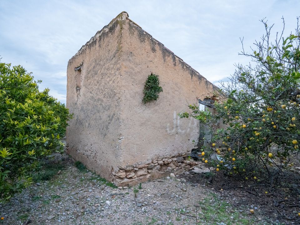 Finca i Tortosa, Tarragona - bilde 5