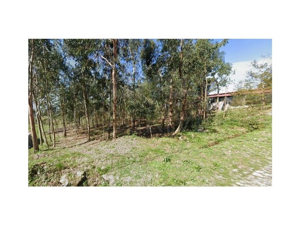Helårsgrund i Gandra e Taiao, Viana do Castelo - foto 3