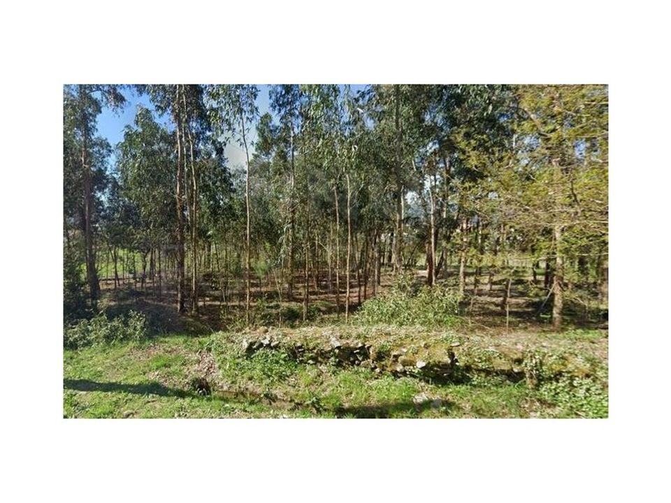Helårsgrund i Gandra e Taiao, Viana do Castelo - foto 5