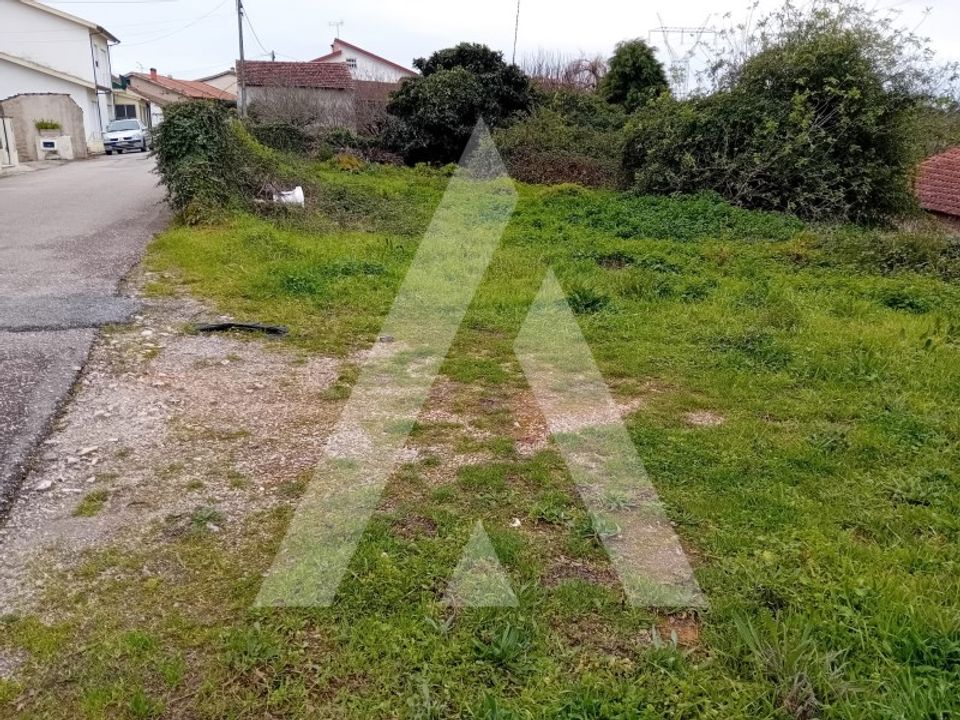 Helårsgrund i Anadia, Aveiro - foto 2