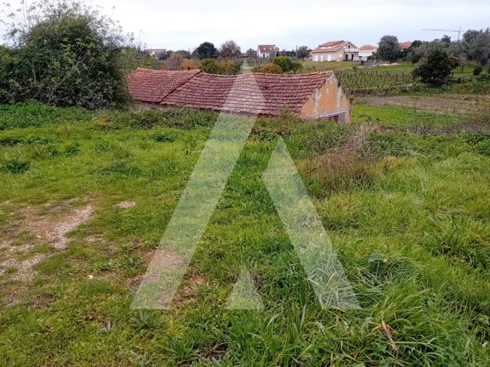 Helårsgrund i Anadia, Aveiro - foto 5