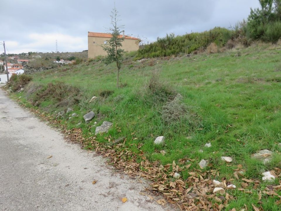 Ruinere i Tarouca, Viseu - foto 2