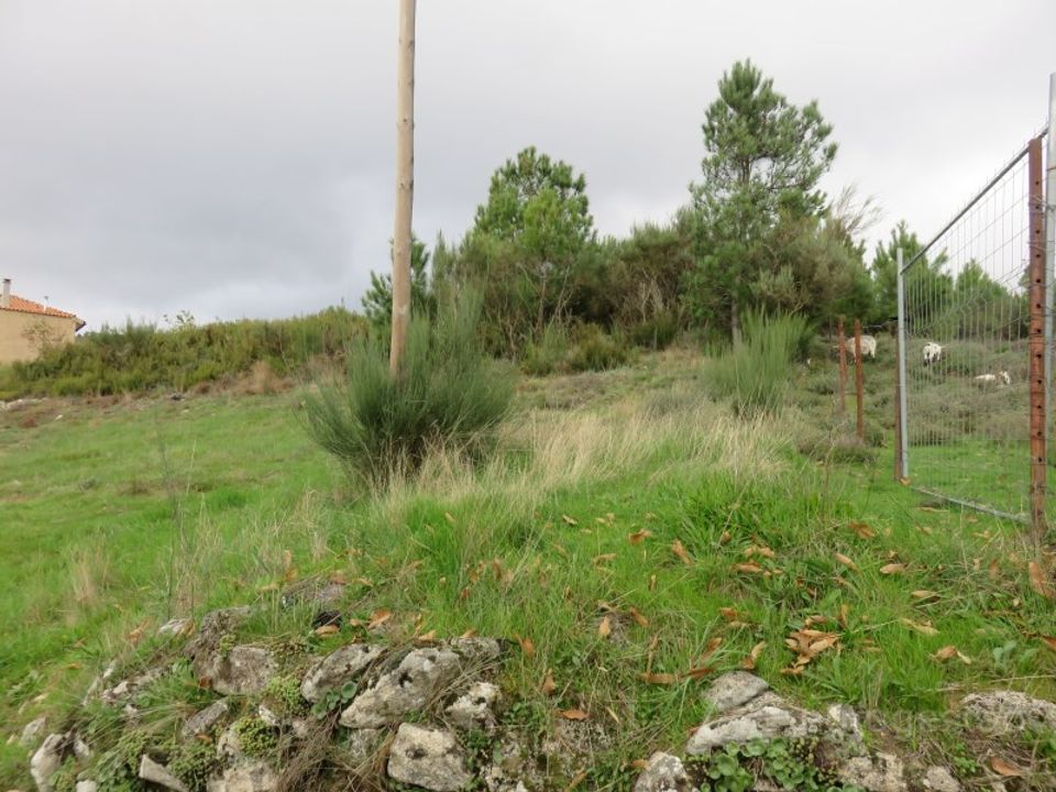 Ruinere i Tarouca, Viseu - foto 3