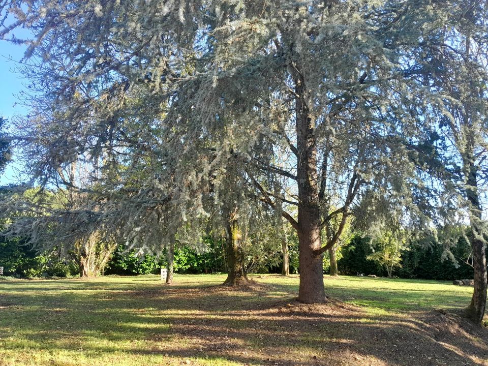 Villa i Mirambeau, Charente-Maritime - foto 2