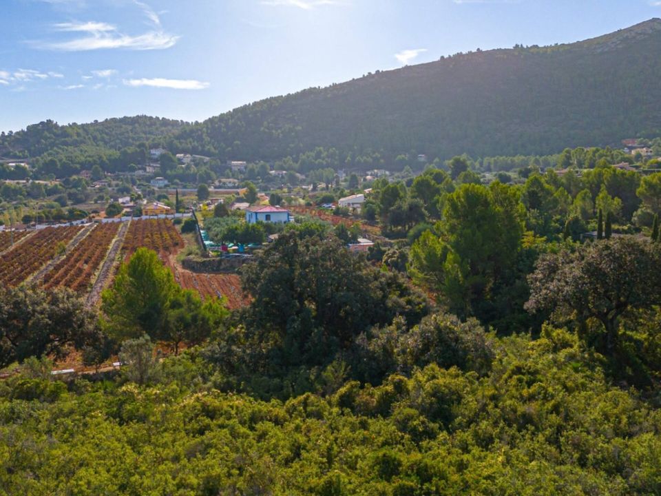 Helårsgrund i Lliber, Alicante - foto 3