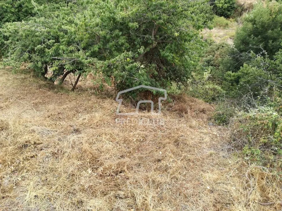 Helårsgrund i Santa Cruz, Madeira - foto 1
