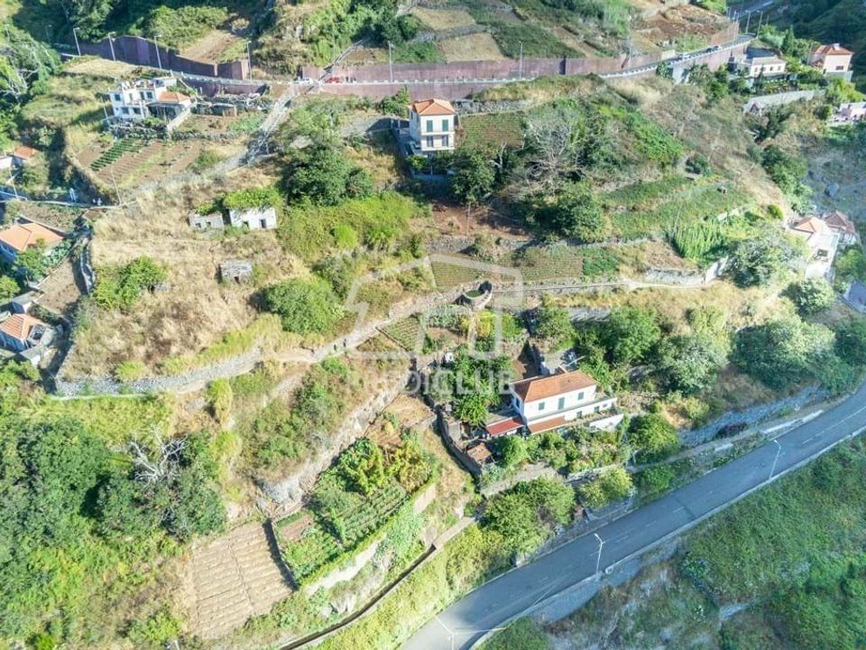 Tomt i Camara de Lobos, Madeira - bilde 2