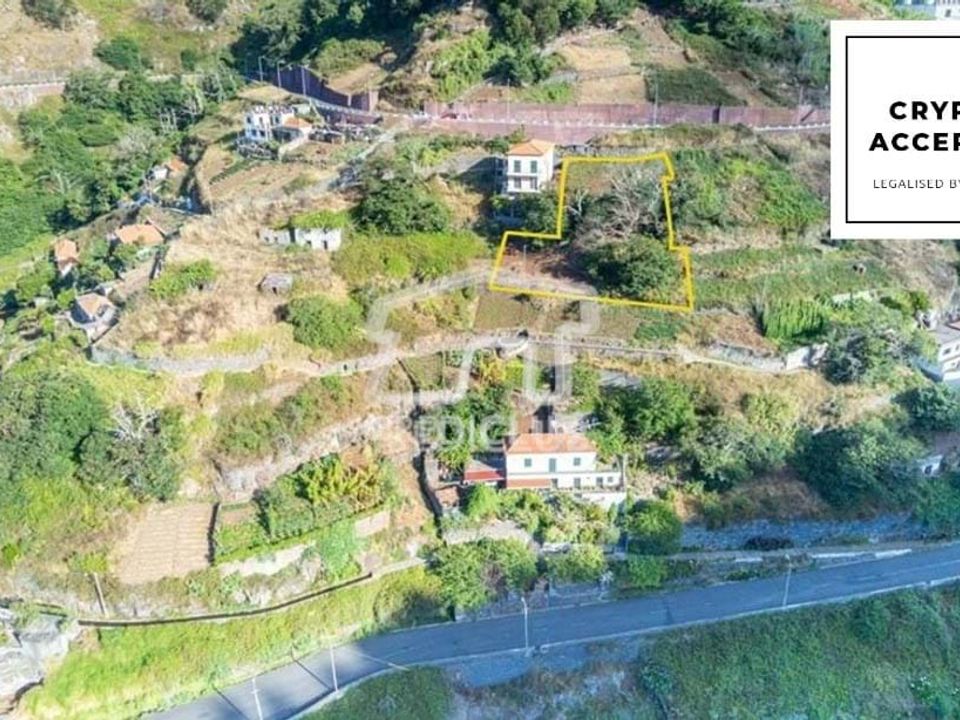 Tomt i Camara de Lobos, Madeira - bilde 1