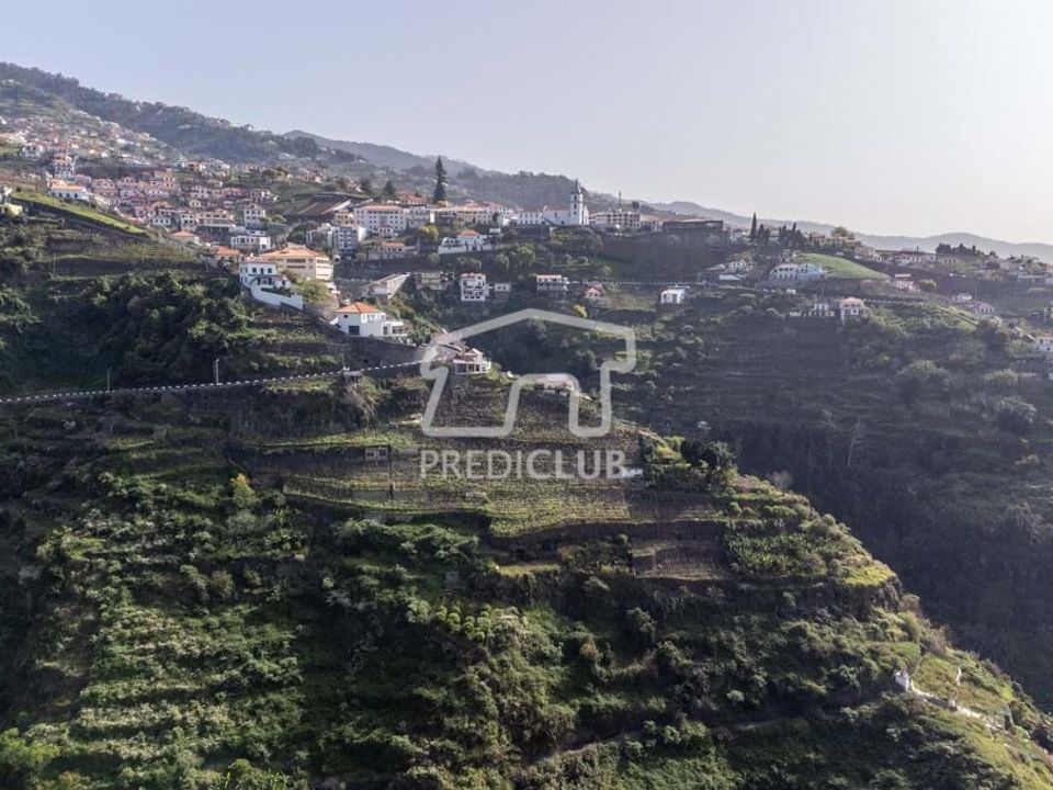 Helårsgrund i Camara de Lobos, Madeira - foto 3
