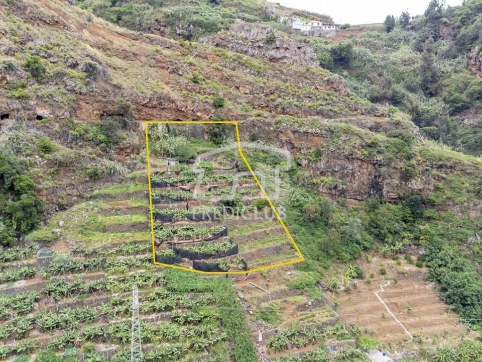 Helårsgrund i Funchal, Madeira - foto 2