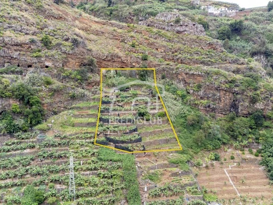 Helårsgrund i Funchal, Madeira - foto 4