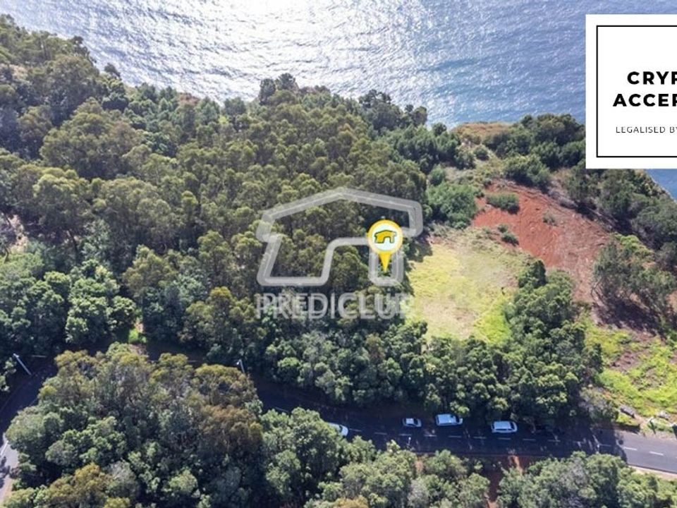 Helårsgrund i Camara de Lobos, Madeira - foto 2