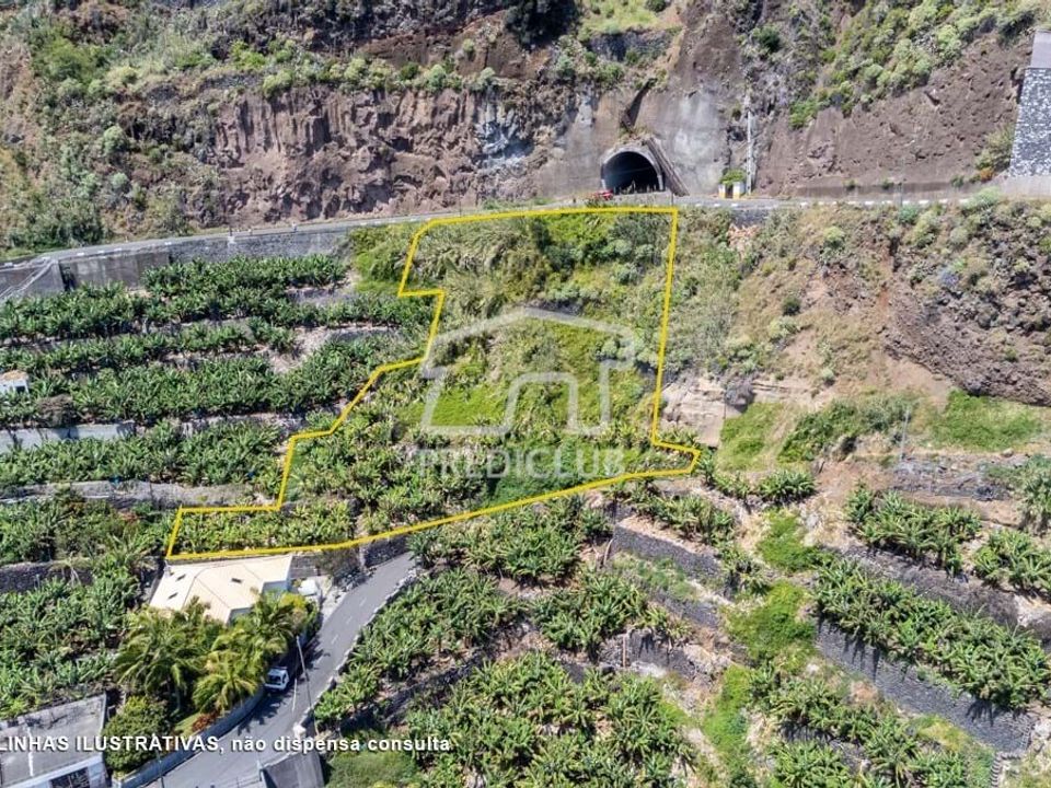 Helårsgrund i Calheta, Madeira - foto 5