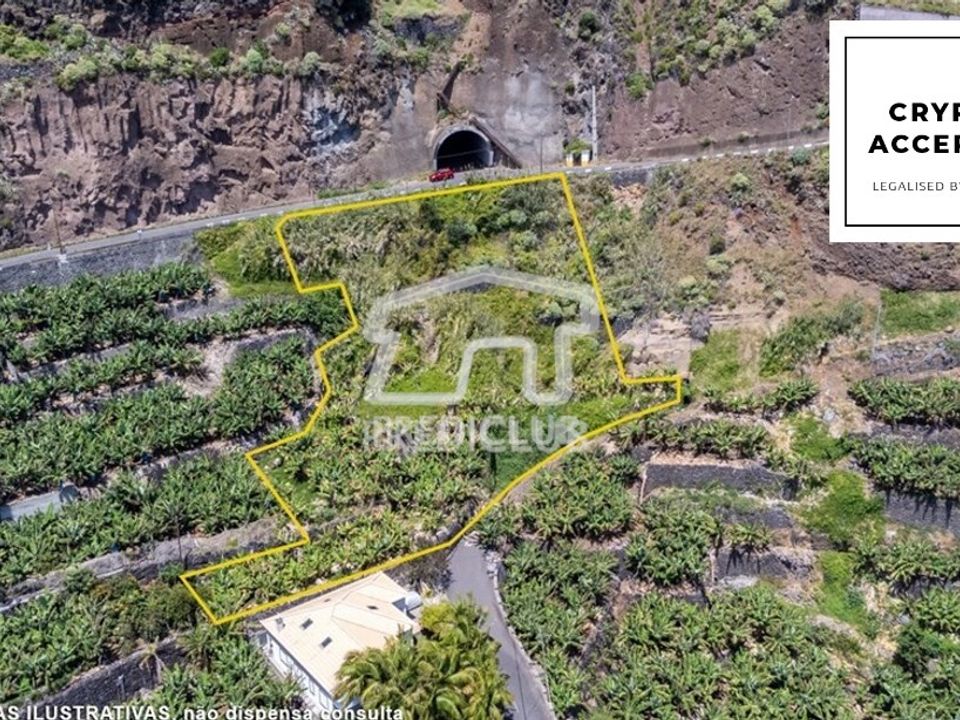Helårsgrund i Calheta, Madeira - foto 3