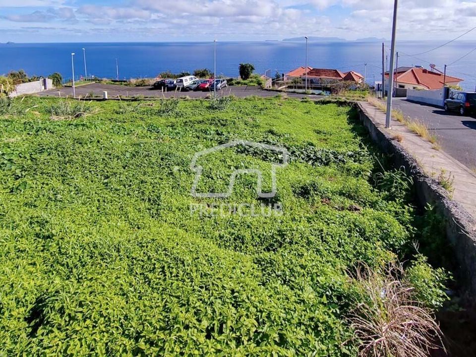 Helårsgrund i Santa Cruz, Madeira - foto 5