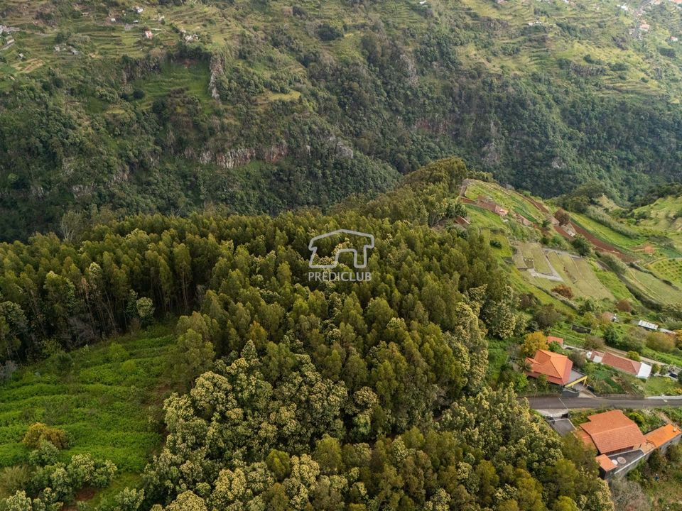 Helårsgrund i Santa Cruz, Madeira - foto 3