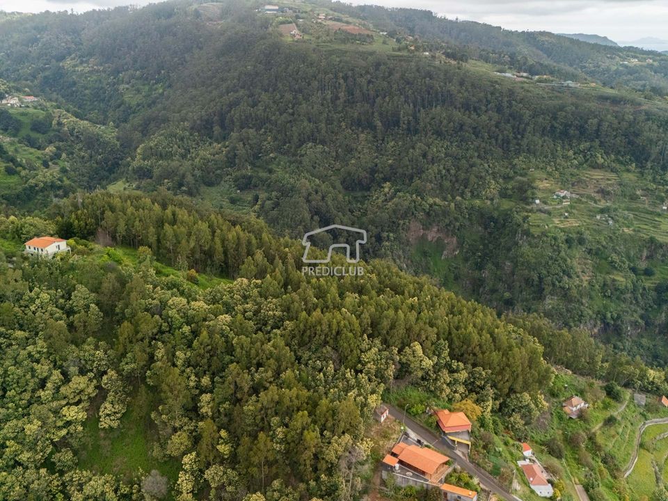 Helårsgrund i Santa Cruz, Madeira - foto 4
