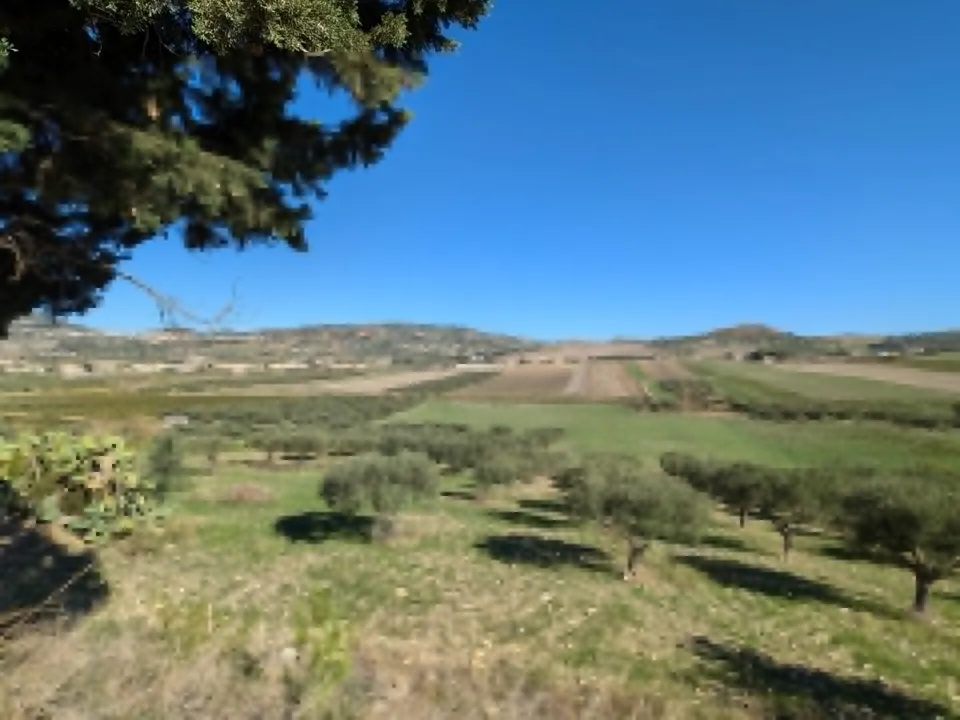 Helårsgrund i Valderice, Trapani - foto 3
