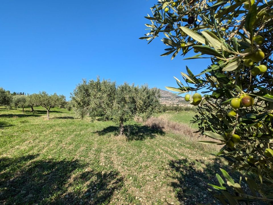 Helårsgrund i Valderice, Trapani - foto 1