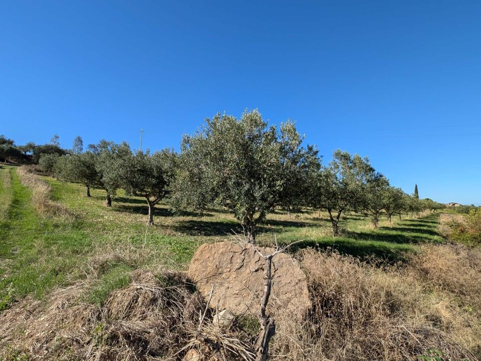 Helårsgrund i Valderice, Trapani - foto 5