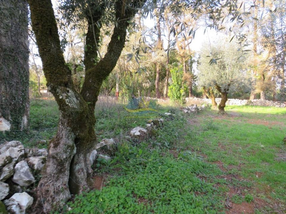 Villa i Ansiao, Leiria - foto 4
