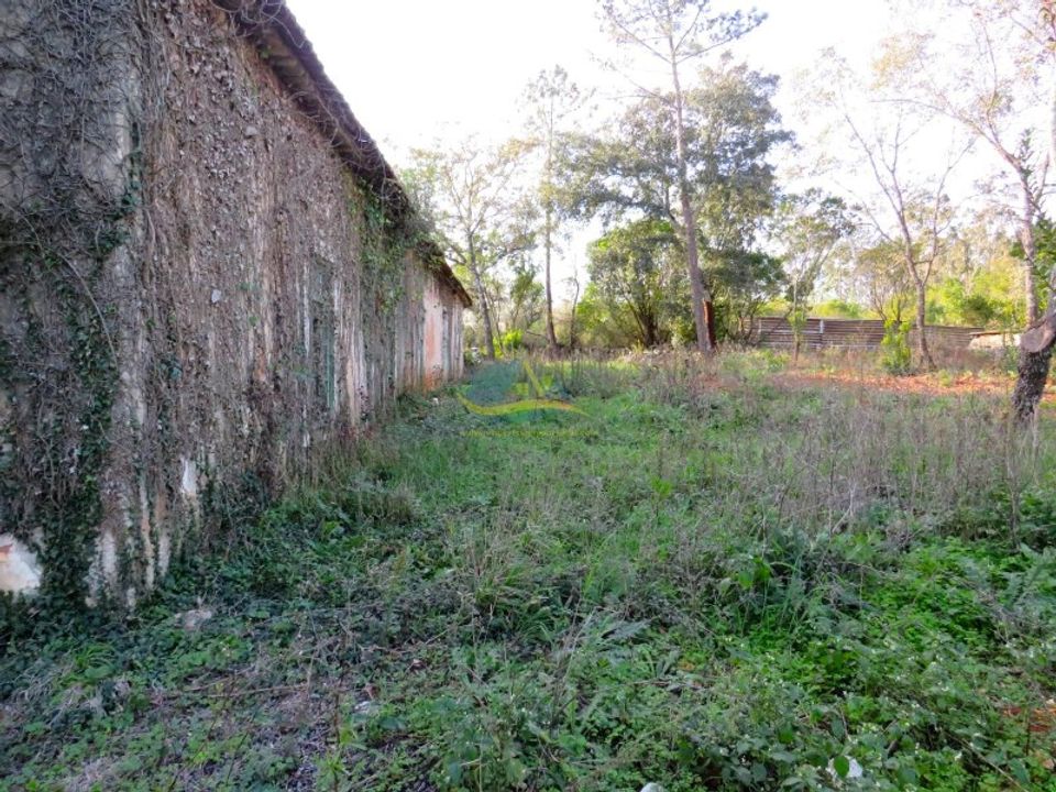 Villa i Ansiao, Leiria - foto 5
