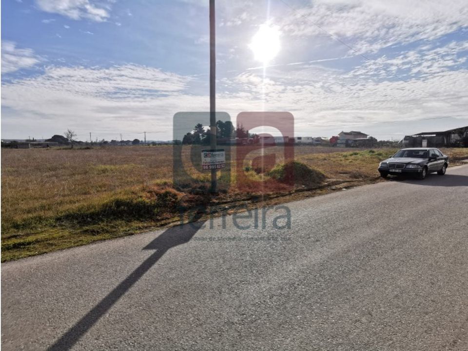 Helårsgrund i Alpiarca, Santarem - foto 3