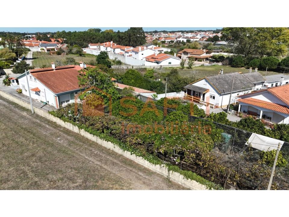 Farm i Marinha Grande, Leiria - foto 4