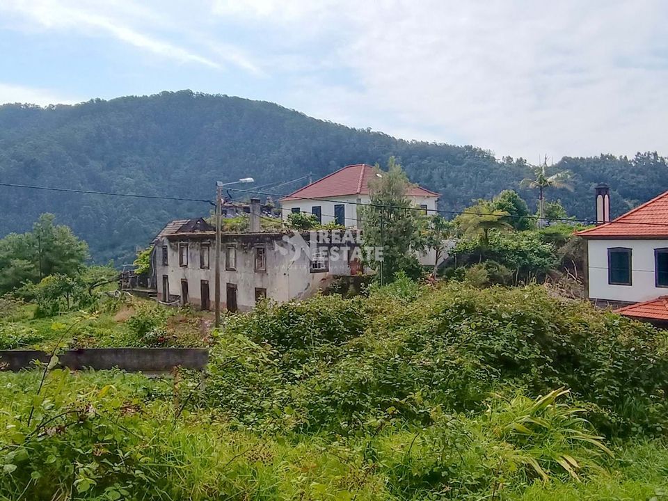 Ruin i Porto Moniz, Madeira - bilde 4