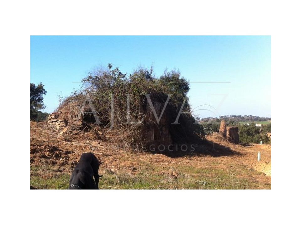 Terreno en Colos, Beja - foto 3
