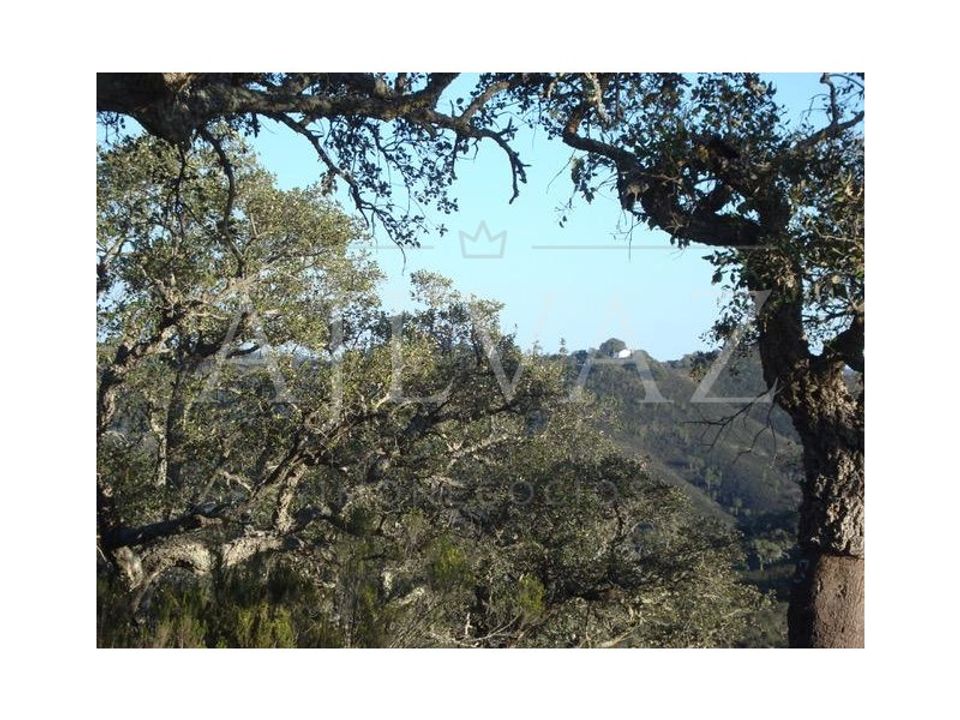 Terreno en Colos, Beja - foto 4