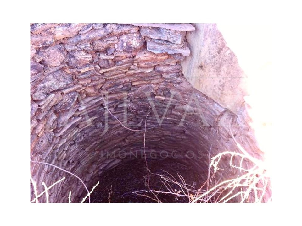 Terreno en Colos, Beja - foto 5