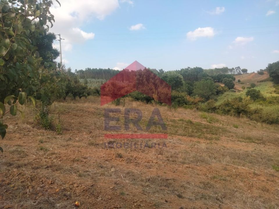 Terra a Carvalhal, Leiria - foto 3