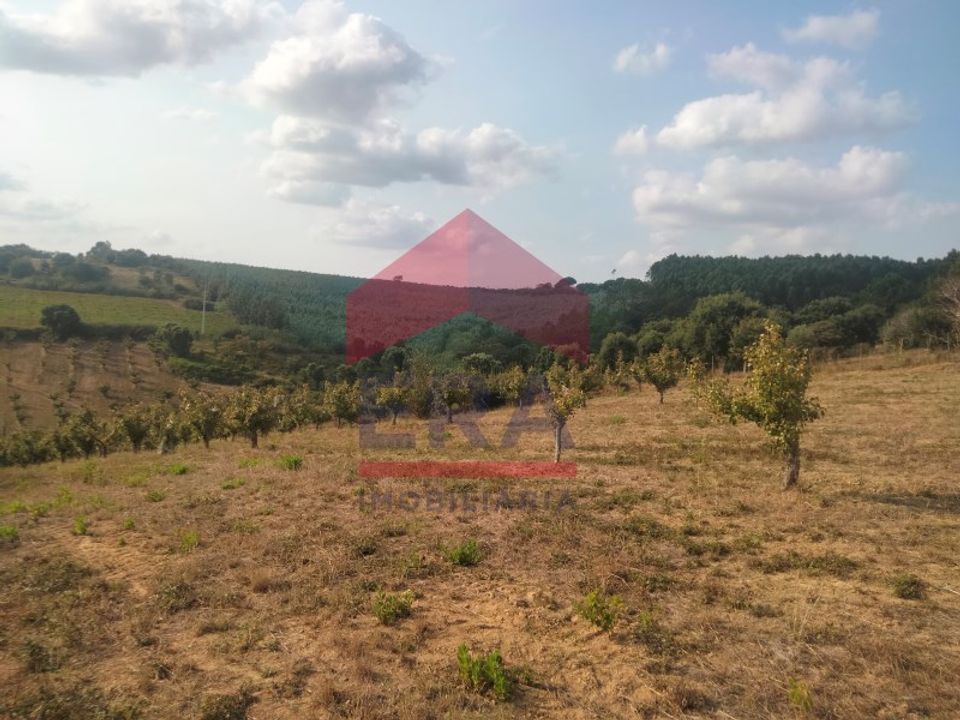 Terra a Carvalhal, Leiria - foto 4