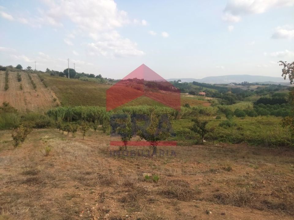 Terra a Carvalhal, Leiria - foto 5