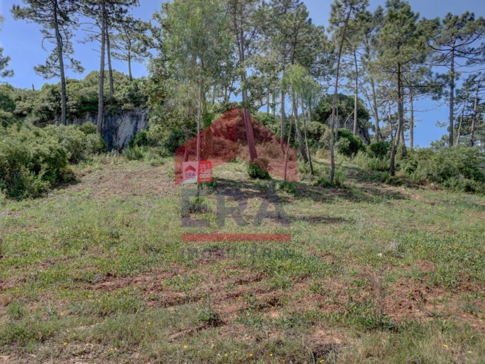 Helårsgrund i Bombarral, Leiria - foto 3