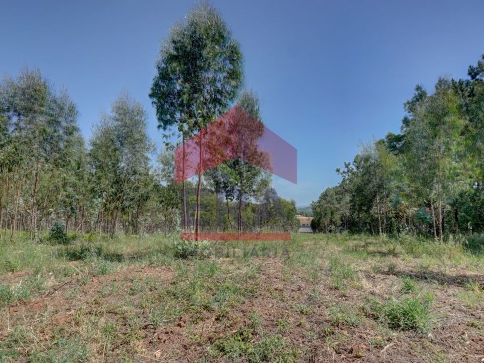 Helårsgrund i Bombarral, Leiria - foto 4