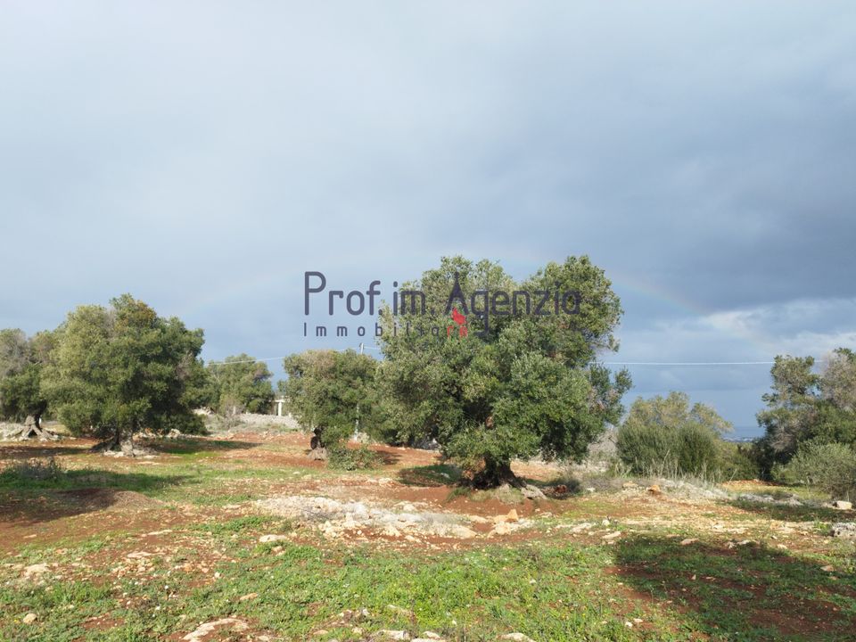 Helårsgrund i Carovigno, Brindisi - foto 3