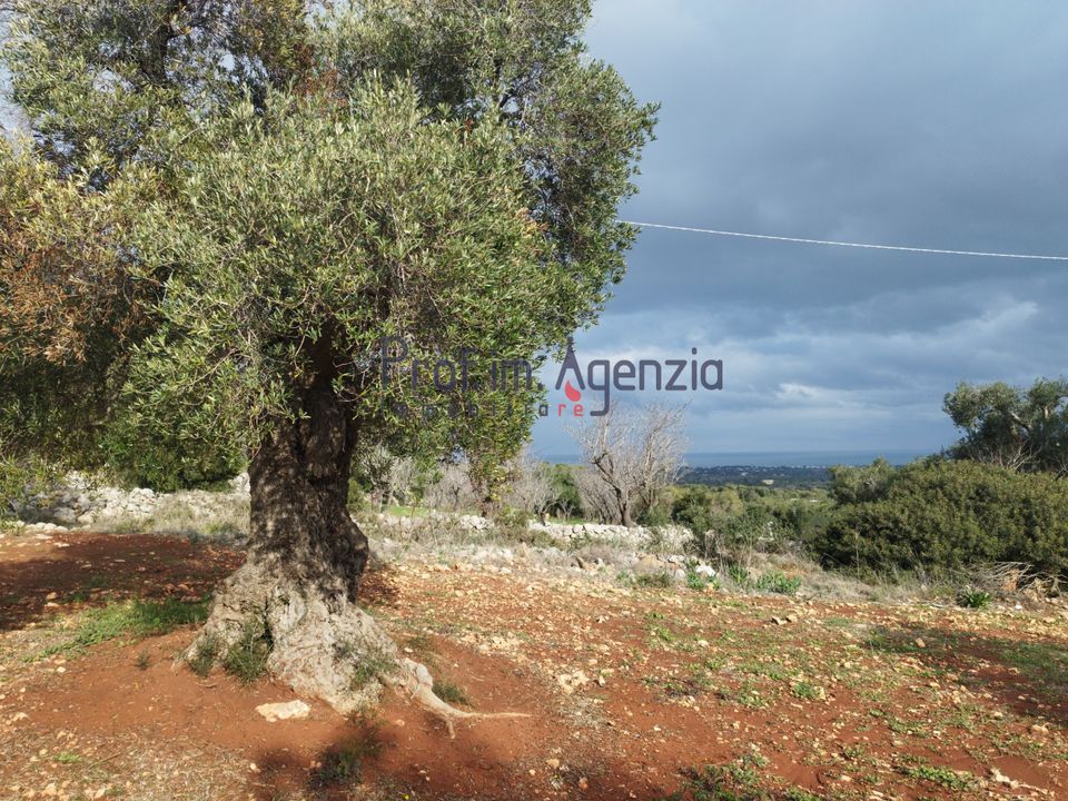 Helårsgrund i Carovigno, Brindisi - foto 1