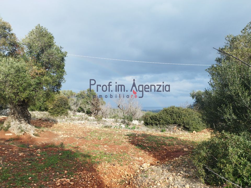 Helårsgrund i Carovigno, Brindisi - foto 2