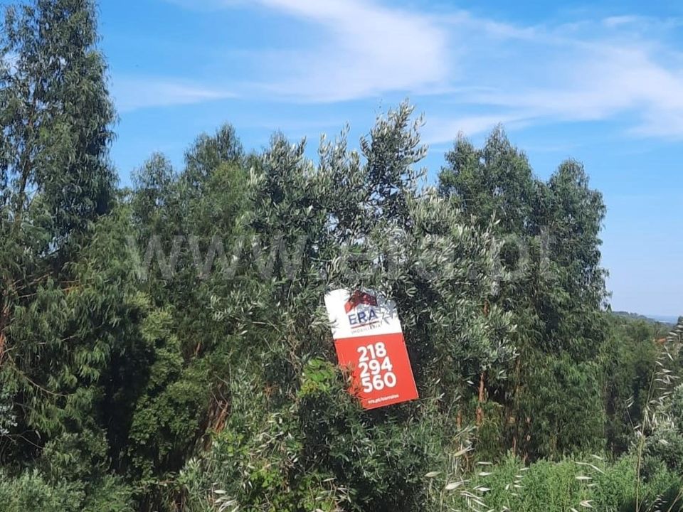 Helårsgrund i Vila Nova da Barquinha, Santarem - foto 5