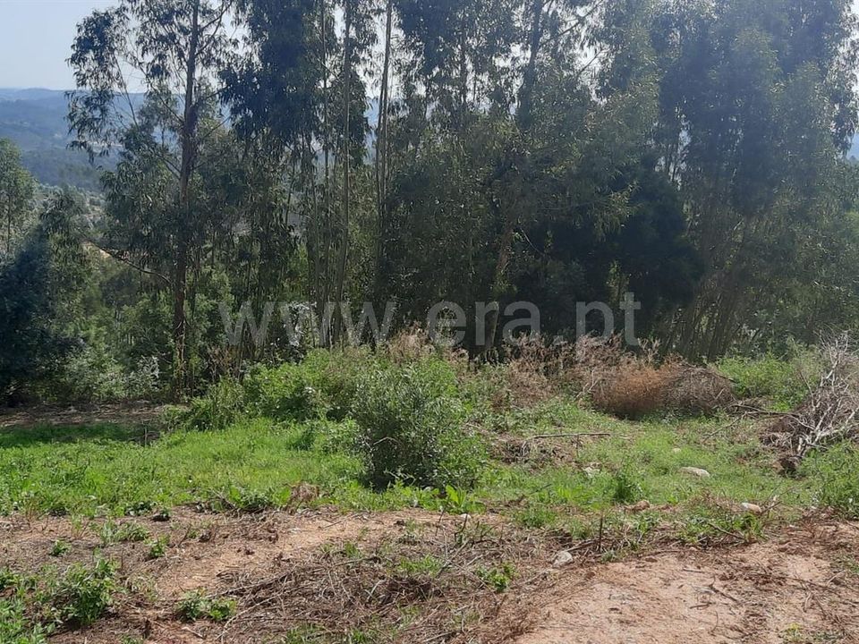 Helårsgrund i Vila Nova da Barquinha, Santarem - foto 1