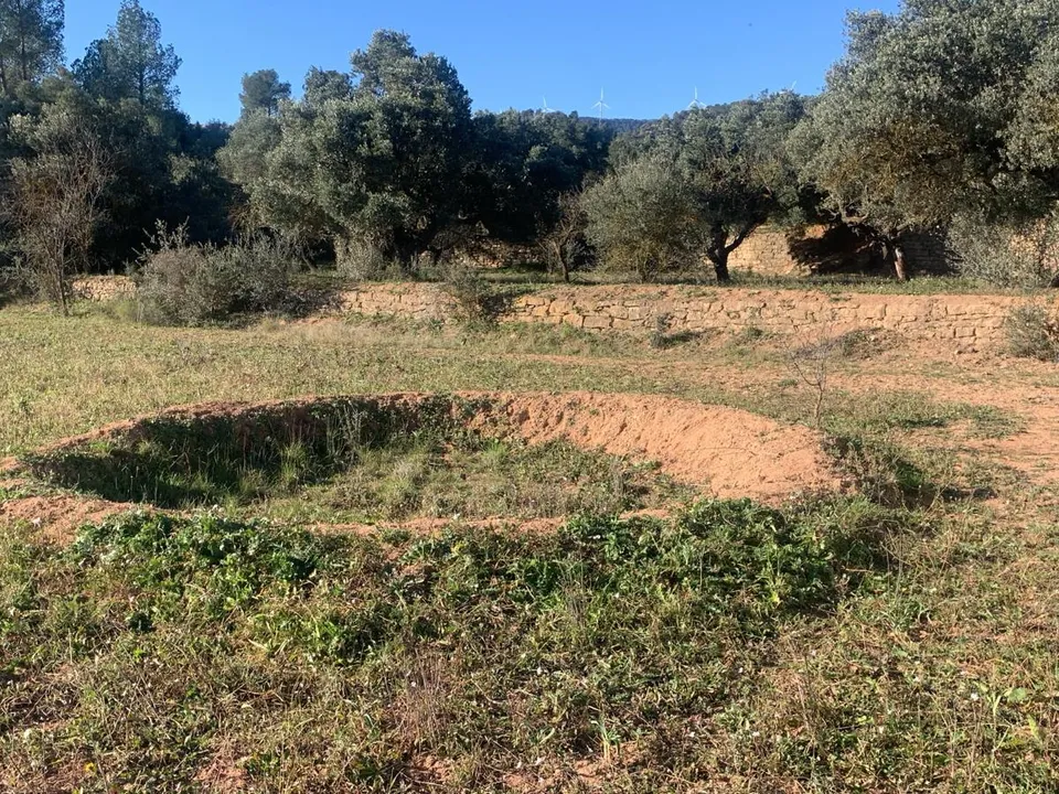 Helårsgrund i Asco, Tarragona - foto 4