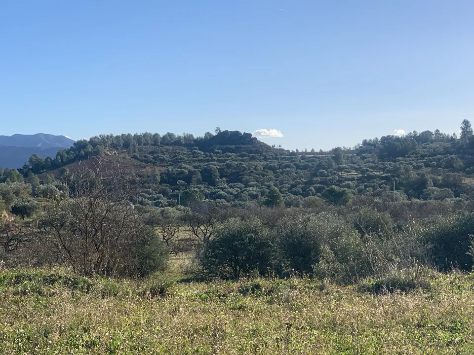 Helårsgrund i Asco, Tarragona - foto 1