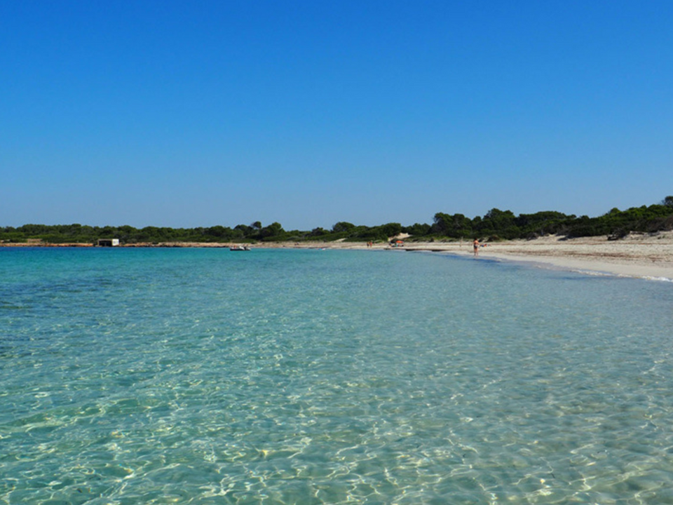 Lejlighed i Colonia De Sant Jordi, Mallorca - foto 5