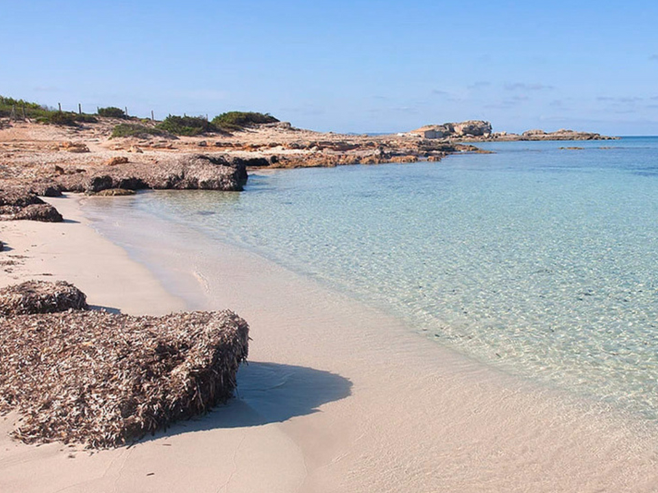 Lejlighed i Colonia De Sant Jordi, Mallorca - foto 5