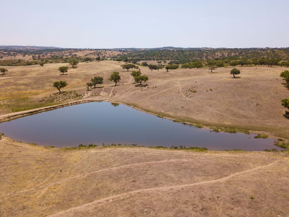 Farm hus i Moura, Beja - foto 4